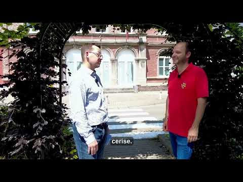 Huy – Tihange – Fête de la cerise