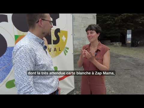 Huy – l’ église Saint Mengold et les polysons